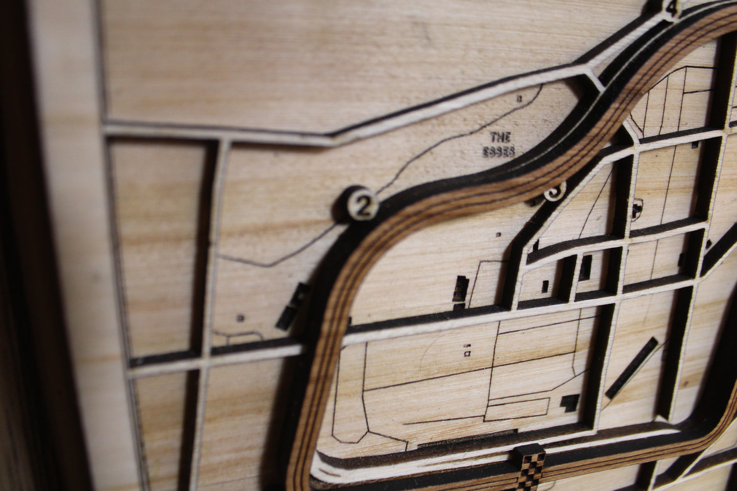 Watkins Glen International Race Track Topography Map Wall Decor