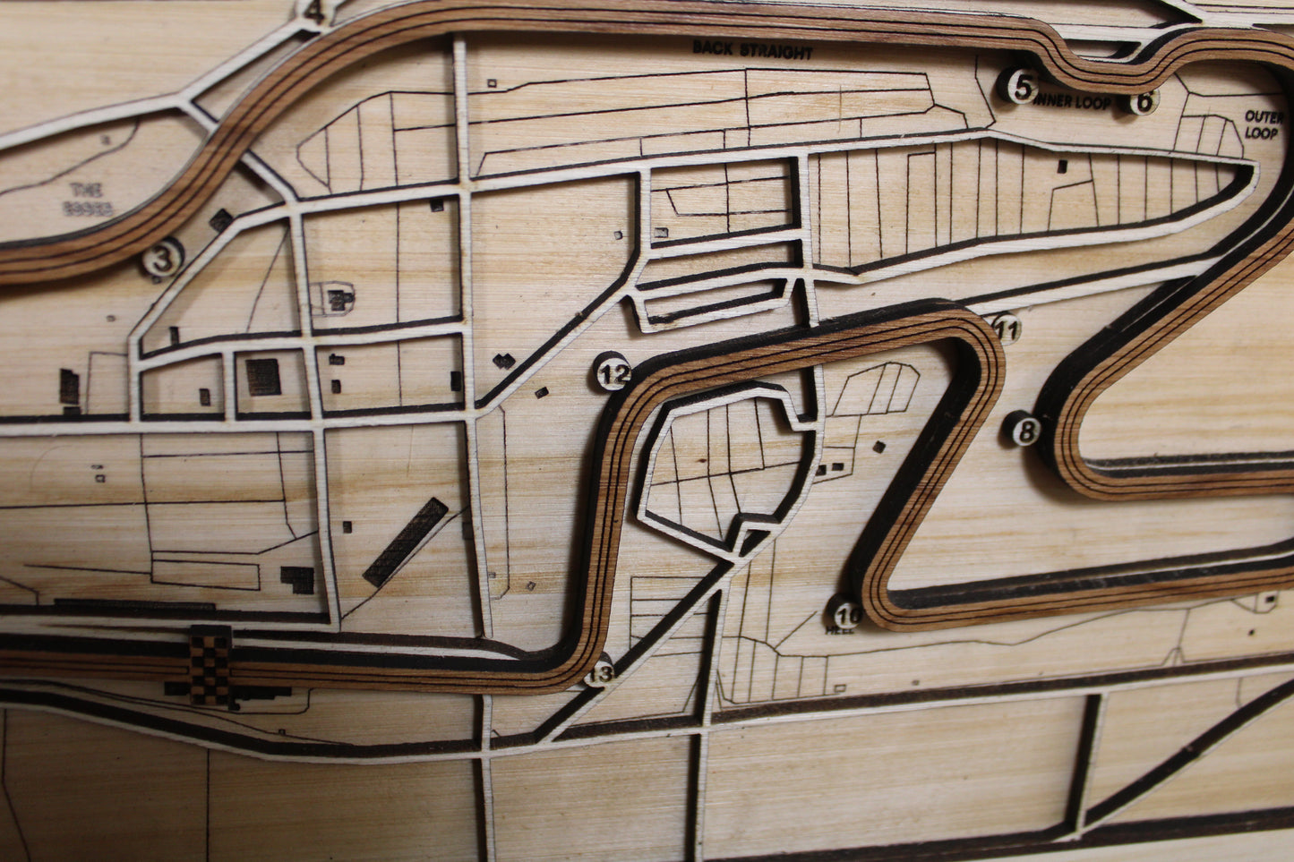 Watkins Glen International Race Track Topography Map Wall Decor