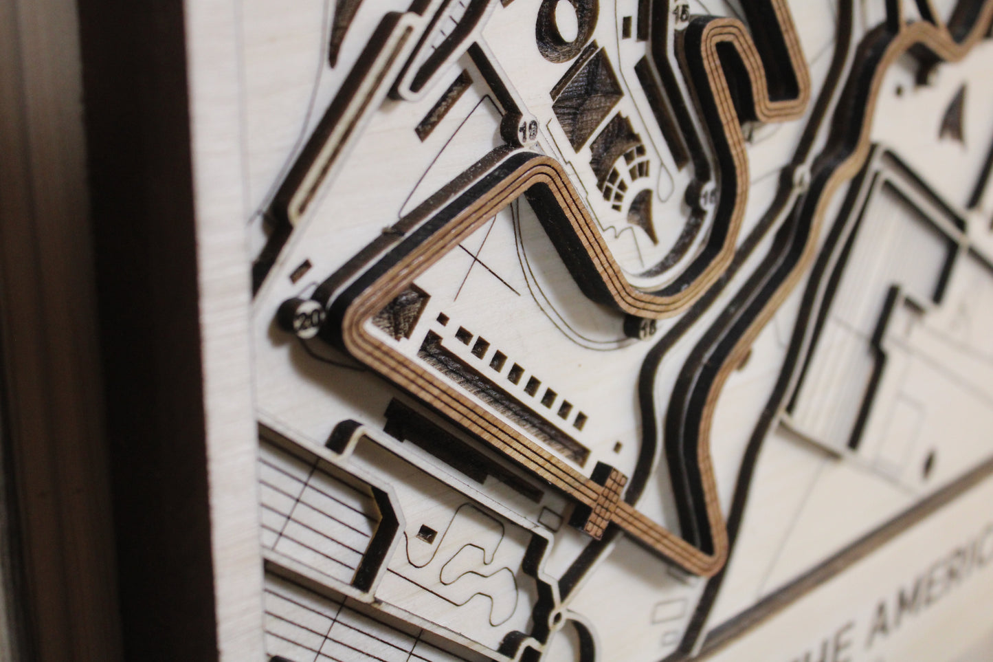 Circuit of the Americas Race Track Topography Map Wall Decor