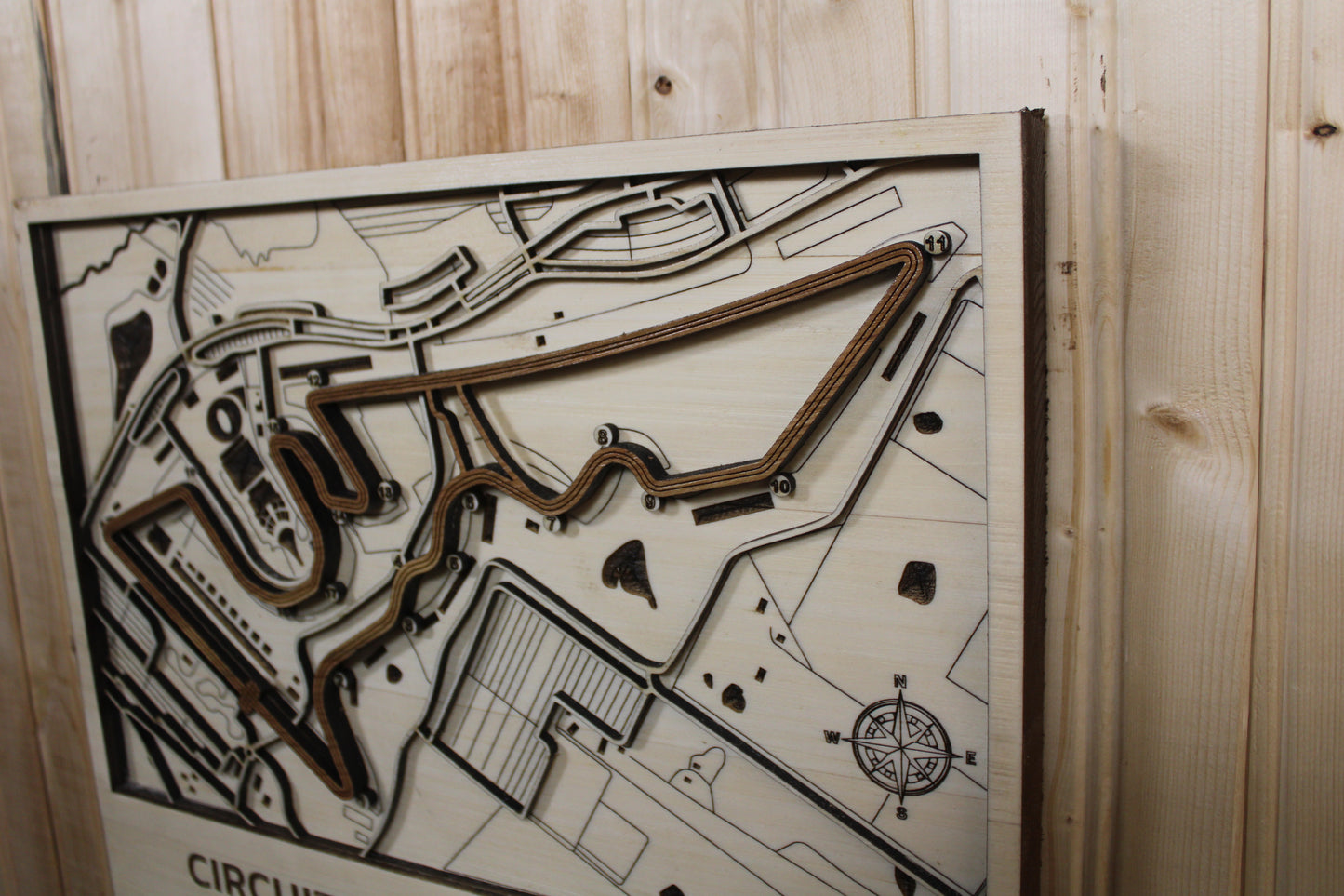 Circuit of the Americas Race Track Topography Map Wall Decor