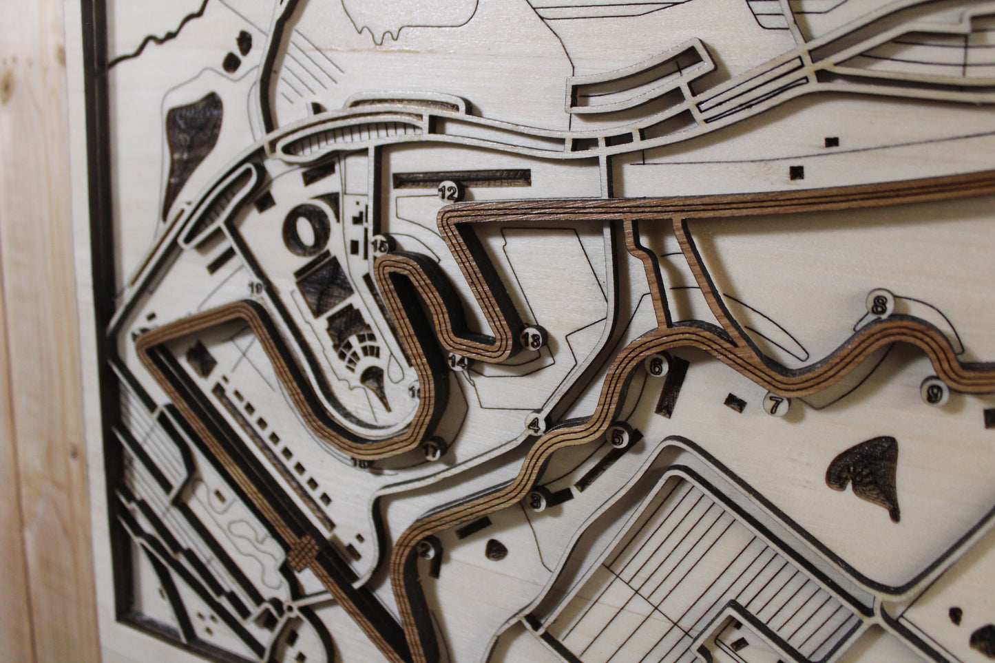 Circuit of the Americas Race Track Topography Map Wall Decor