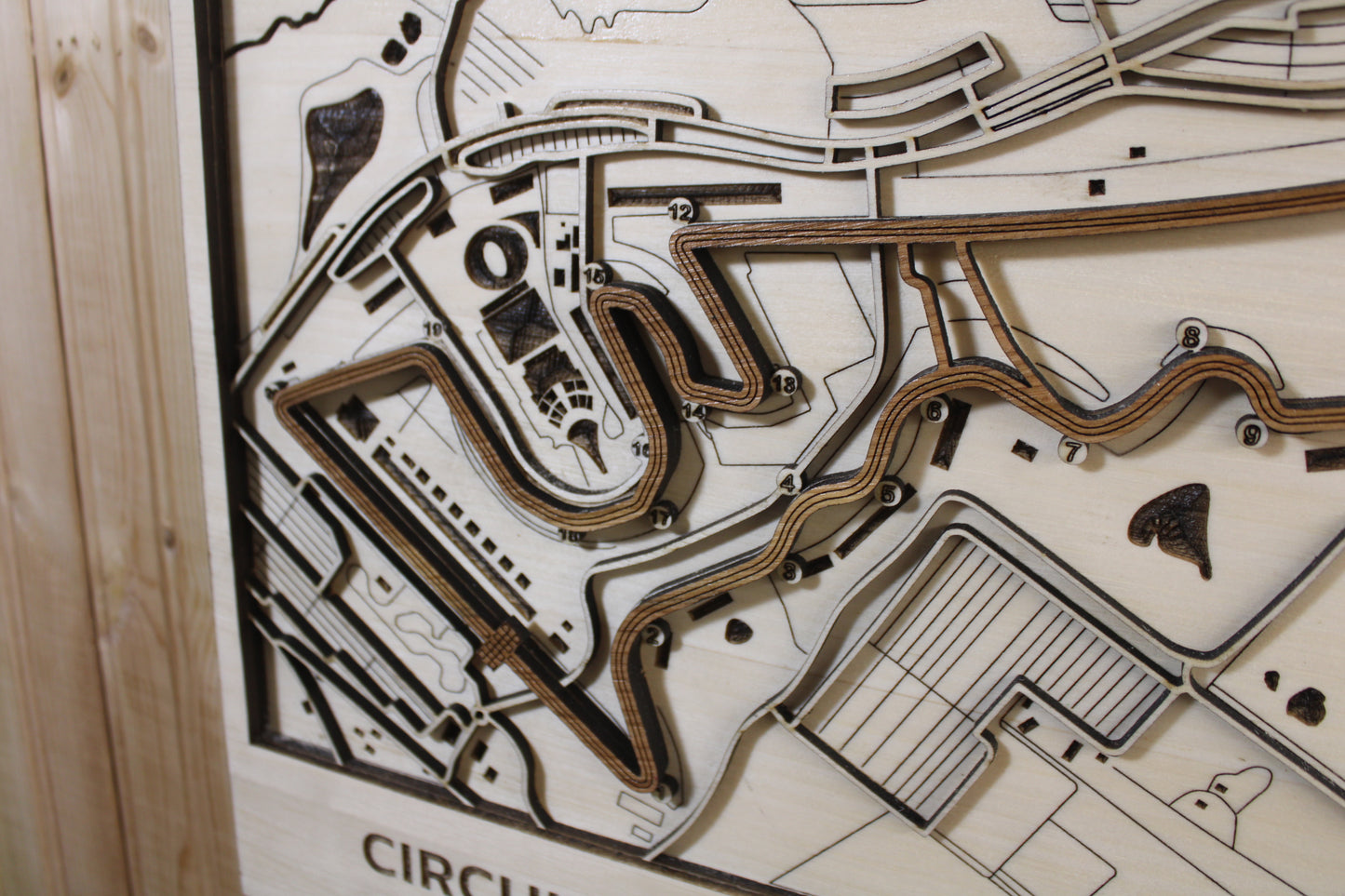 Circuit of the Americas Race Track Topography Map Wall Decor