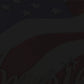 America 250 Flag Colection