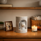 3D Printed Pet Urn for Dogs